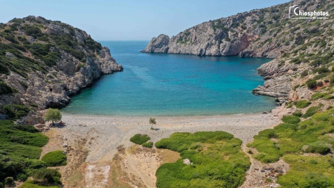 Παραλία Αυλωνιά Πυργίου