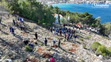 Καρδάμυλα Χίου
